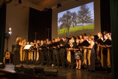 herbstkonzert2018-102